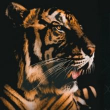 UNCAGED: The Untold Stories from the Cast of Tiger King Announced at Marcus Center