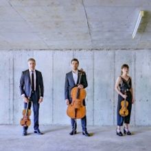 The Australian String Quartet To Perform Live On A National Tour In May And June