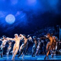 BWW Review: CATS at Times Union Center For The Performing Arts