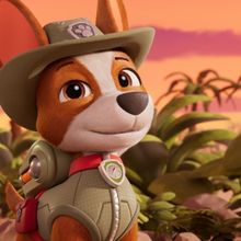 PAW Patrol Expands with Five New Hour-Long Specials