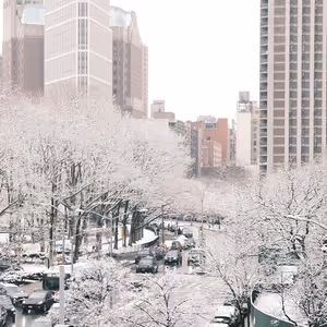 Will the Show Go on Amid Today's Blizzard? 5 NYC Performers Share Their Stories