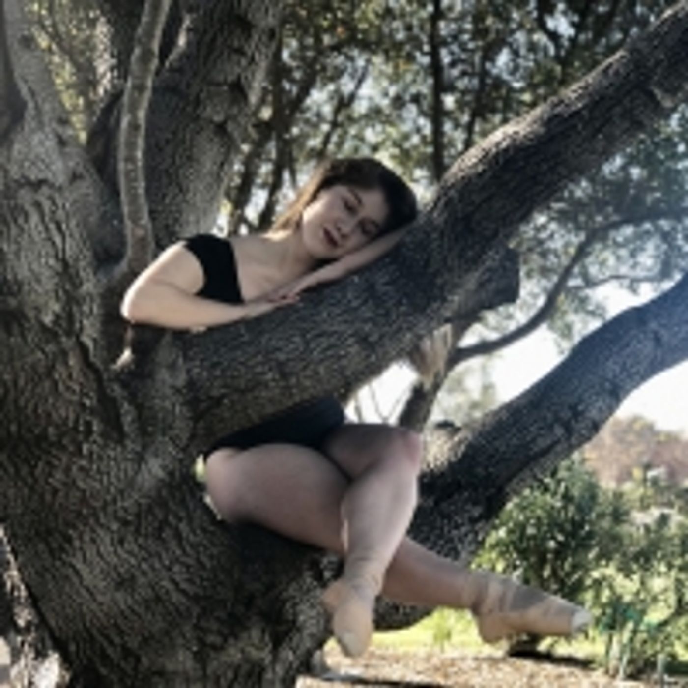 Student Blog: Just a Dream