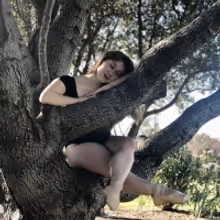 Student Blog: Just a Dream