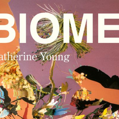 BIOMES Album by Katherine Young to Release on Chaikin Records