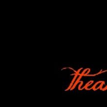 Endangered Species Theatre Project Postponing Show & Canceling Classes