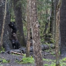 Phillips Mill Photo Committee Announces Online Member Show