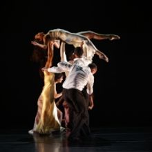 Previews: STIRS UP STILL THINGS at ISHIDA Dance