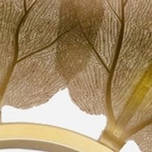 Symphonic Metal Band TULIP Release New Single 'CLONE'