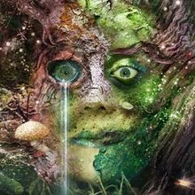 Bryony Kimmings Will Bring BOG WITCH to Storyhouse on UK & Ireland Tour