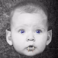 Theatre Wesleyan Presents BAT BOY: THE MUSICAL This Month