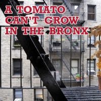 TOMATO CAN'T GROW IN THE BRONX Opens at Chain Theater Next Month