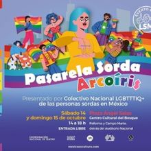 El Colectivo Nacional LGBTTTIQ+ De Las Personas Sordas En México Llevará A Cabo La 
