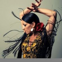 Nai-Ni Chen Dance Company Announces Upcoming Classes for The Bridge