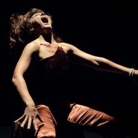 Peep Show Meets Escape Room In SPLIT From SF Dance Company FACT/SF