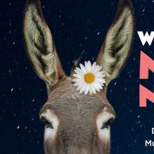 Fort Salem Theater Presents A MIDSUMMER NIGHT'S DREAM Full of Fantasy This Fall