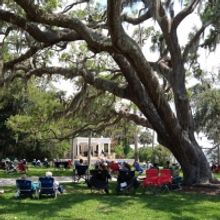 Sarasota Orchestra's Free Parks Concerts Return For Third Season