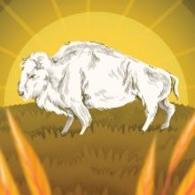 BWW Review: THE HERD is a Poignant Night of Theatre