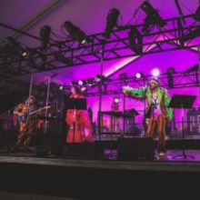 BWW Review: BEAUTIFUL BLACKBIRD LIVE Delivers Sunshine and Free Wings