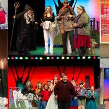 Student Blog: INTO THE WOODS Changed My Life