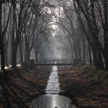 Open-Door Playhouse Debuts (CON)FUSION) March 15