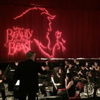 BWW Blog: From The Eyes of the Pit Orchestra