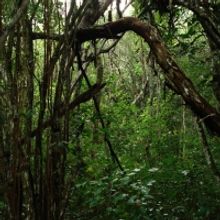 Memoria, Inclusión E Interdisciplina Protagonizarán La Noche De Museos De Abril En 