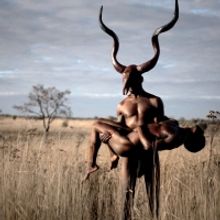 BWW Review: 'FROM AFRICA' LEAPS ACROSS THE SCREEN at THE 39TH BATTERY DANCE FESTIVAL