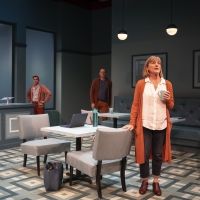 BWW Review: TINY BEAUTIFUL THINGS at Victory Gardens Theater