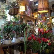 Student Blog: My Offenses Towards Dance Substitutes