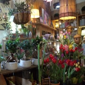 Student Blog: My Offenses Towards Dance Substitutes Photo