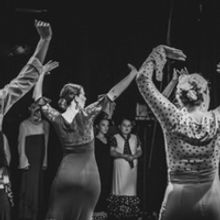 Fringe Flamenco Flashmobs Will Happen At At The Adelaide Farmers' Market And Unley