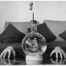 Napa Valley Museum Yountville Announces Opening Exhibits