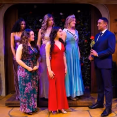 BWW Review: BACHELOR: THE UNAUTHORIZED PARODY MUSICAL at Apollo Theater