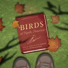 Odyssey Theatre to Present L.A. Premiere of BIRDS OF NORTH AMERICA Starring Arye Gros