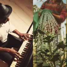 Chicago Humanities Festival Returns To In-Person Events This Summer