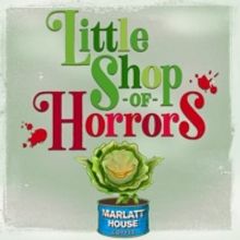  Centre Stage Announces LITTLE SHOP OF HORRORS