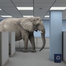 BOLD Theatre Presents WHAT THEY FORGOT TO TELL US (AND OTHER STORIES)