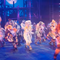Video: First Look at Immersive CATS at the Fulton Theatre Video