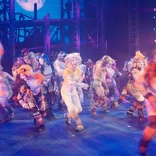 Video: First Look at Immersive CATS at the Fulton Theatre