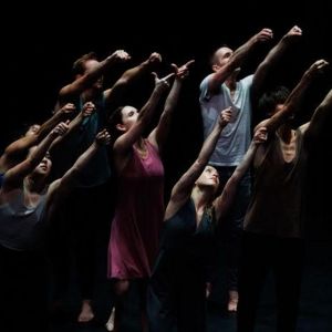 ZviDance to Present The World Premiere Of Zvi Gotheiner's THE FIELD
