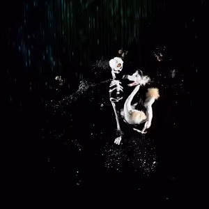 Review: DEAD AS A DODO A SPELLBINDING DELIGHT at Studebaker Theater At The Fine Arts Building