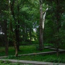 Student Blog: Starting Anew in the Semester