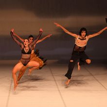 THE BIRDS by Lenio Kaklea to Make New York Premiere at Crossing The Line Festival