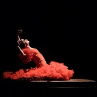 BWW Review: Olga Pericet Presents Her Unique Flamenco Flair In LA ESPINA at John Anson Ford Theatre