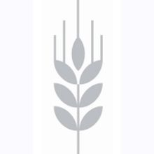 Corn Exchange Newbury Announces Summer Season of Indoor and Outdoor Events