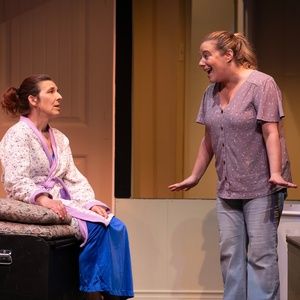 Review: THE BIRDS AND THE BEES at Ottawa Little Theatre