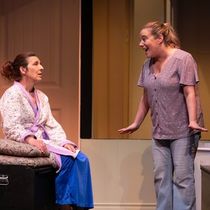 Review: THE BIRDS AND THE BEES at Ottawa Little Theatre
