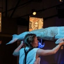 Cabinet Of Curiosity Announces SEA CHANGE