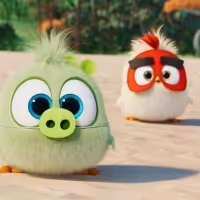 VIDEO: ANGRY BIRDS MOVIE 2 Hatchling Voices Announced