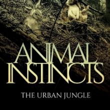 S.L. Jackson Releases New Urban Fantasy ANIMAL INSTINCTS: THE URBAN JUNGLE
